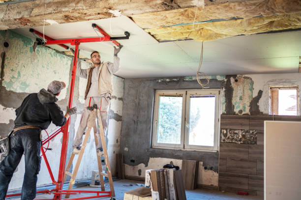 Best Insulation Installation Services in Palm Valley, TX
